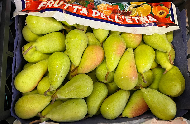 Pere Coscia Origine Sicilia Cal. 55-60 prezzo 2-2,20 euro al chilo
